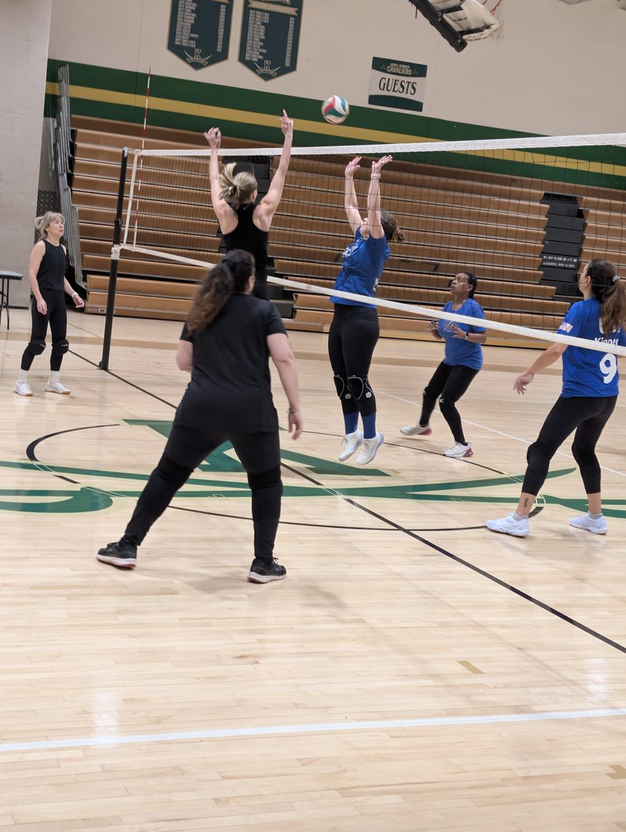 Capital Catchball player portrait